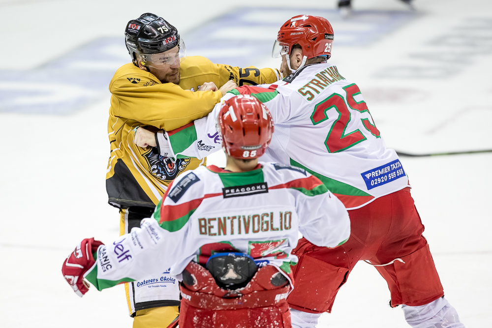cardiff preview 2