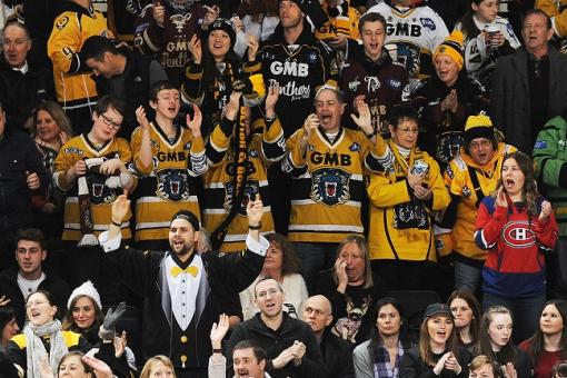 Sixteen thousand plus to see Panthers-Steelers back-to-back clashes