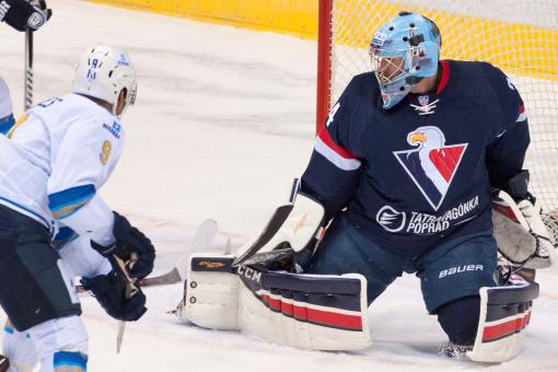 GMB Panthers sign former NHL/KHL netminder Mike Garnett