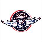 Ducs d'Angers