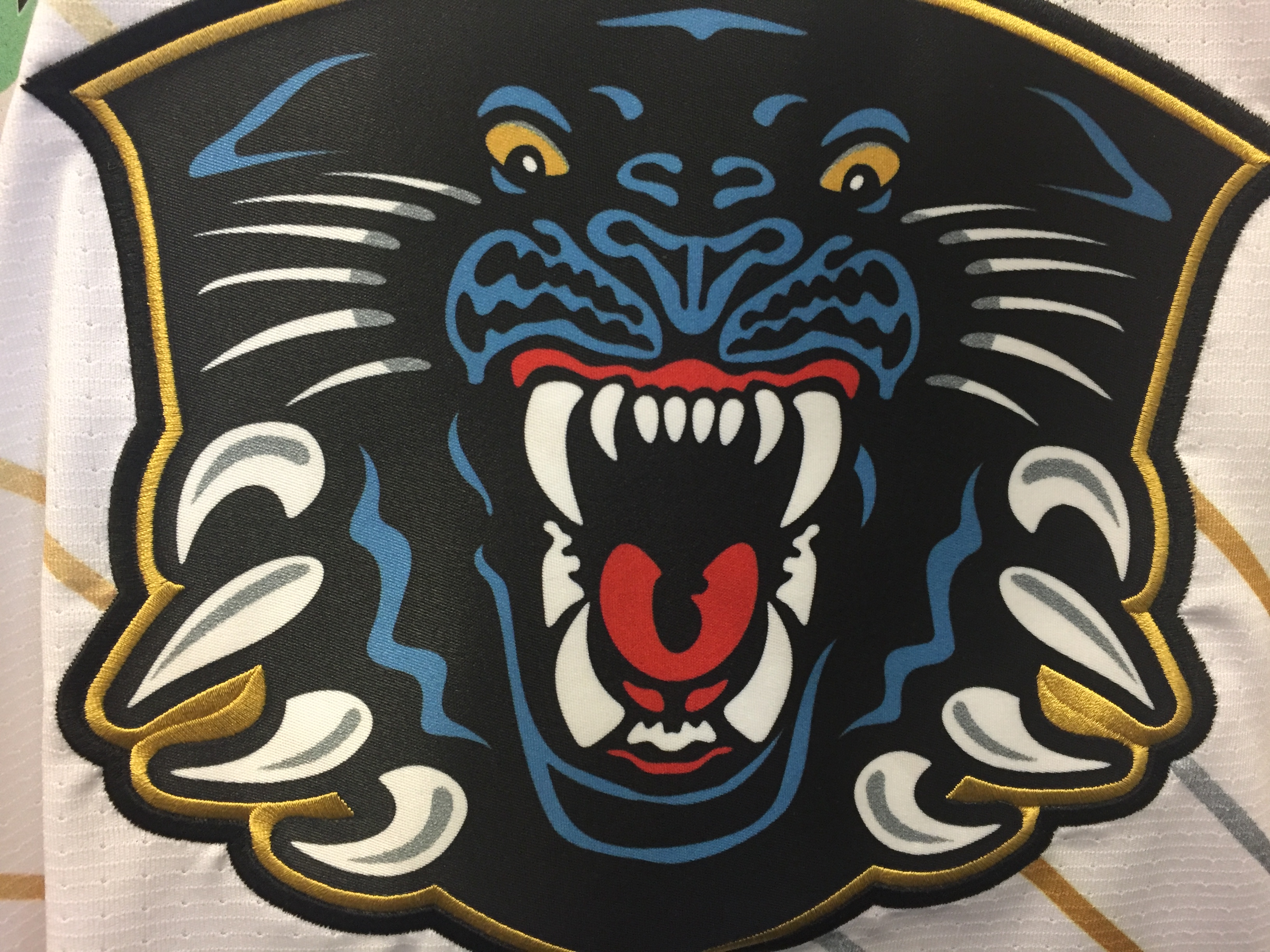 Panthers host jersey launch Tuesday Top Image
