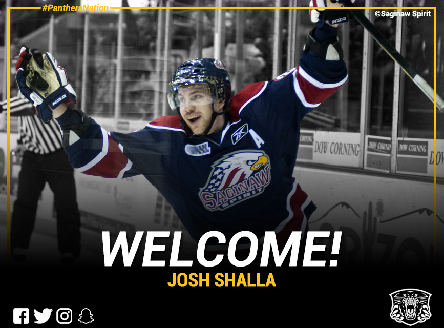GMB Panthers sign Josh Shalla Top Image