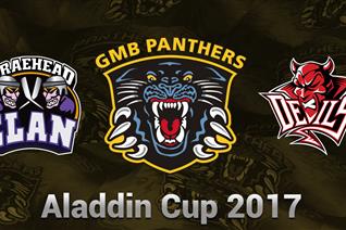 Aladdin Cup – how it works