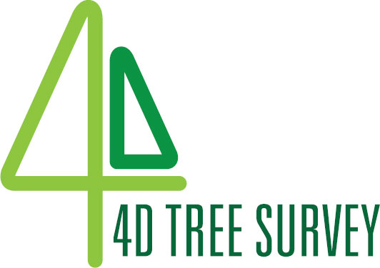 4D Tree Survey