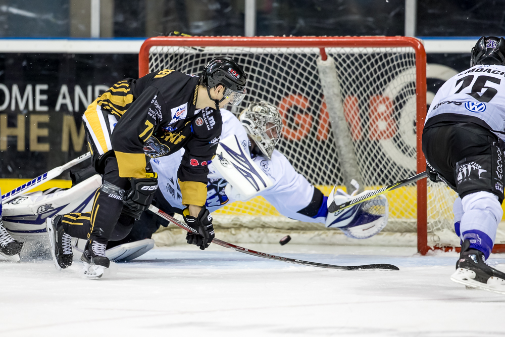 PANTHERS TV WITH GMB HIGHLIGHTS