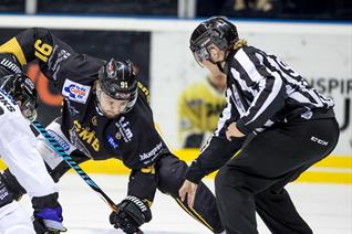 EIHL board agree officiating and Challenge Cup changes