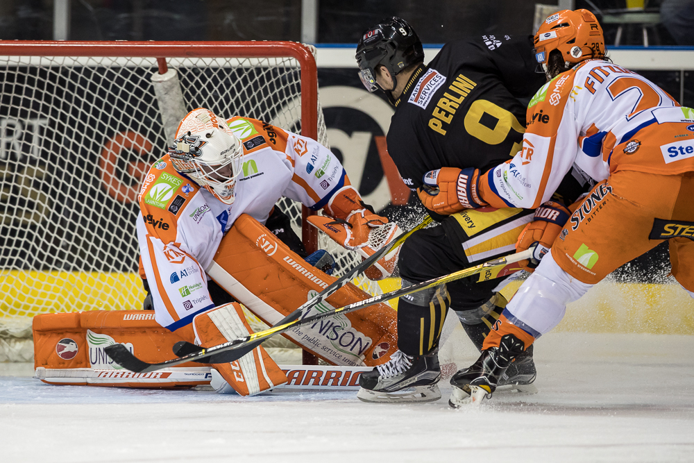 Panthers Steelers in the Cup on Sale Monday Top Image