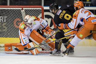 Panthers Steelers in the Cup on Sale Monday
