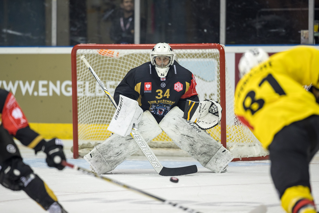 Panthers hope to take CHL form forward Top Image
