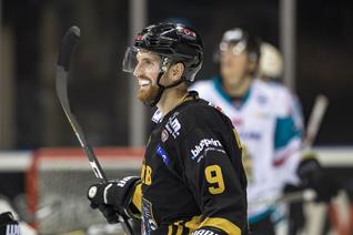 Gameday- Panthers vs Steelers