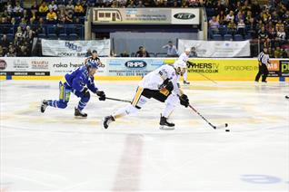 Panthers vs Blaze: Gameday!