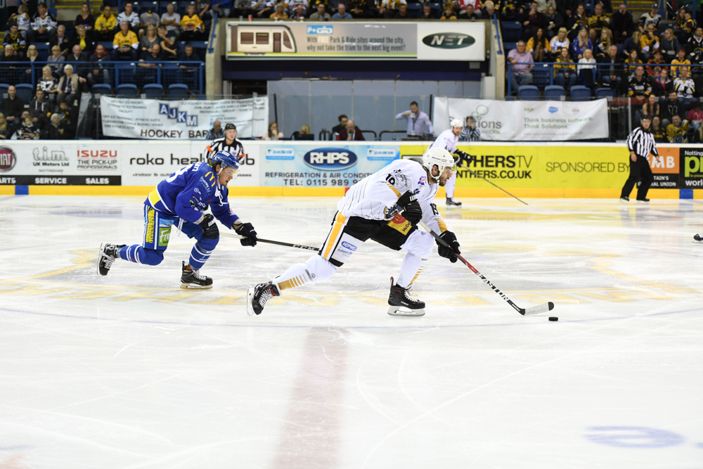 Panthers vs Blaze: Gameday! Top Image