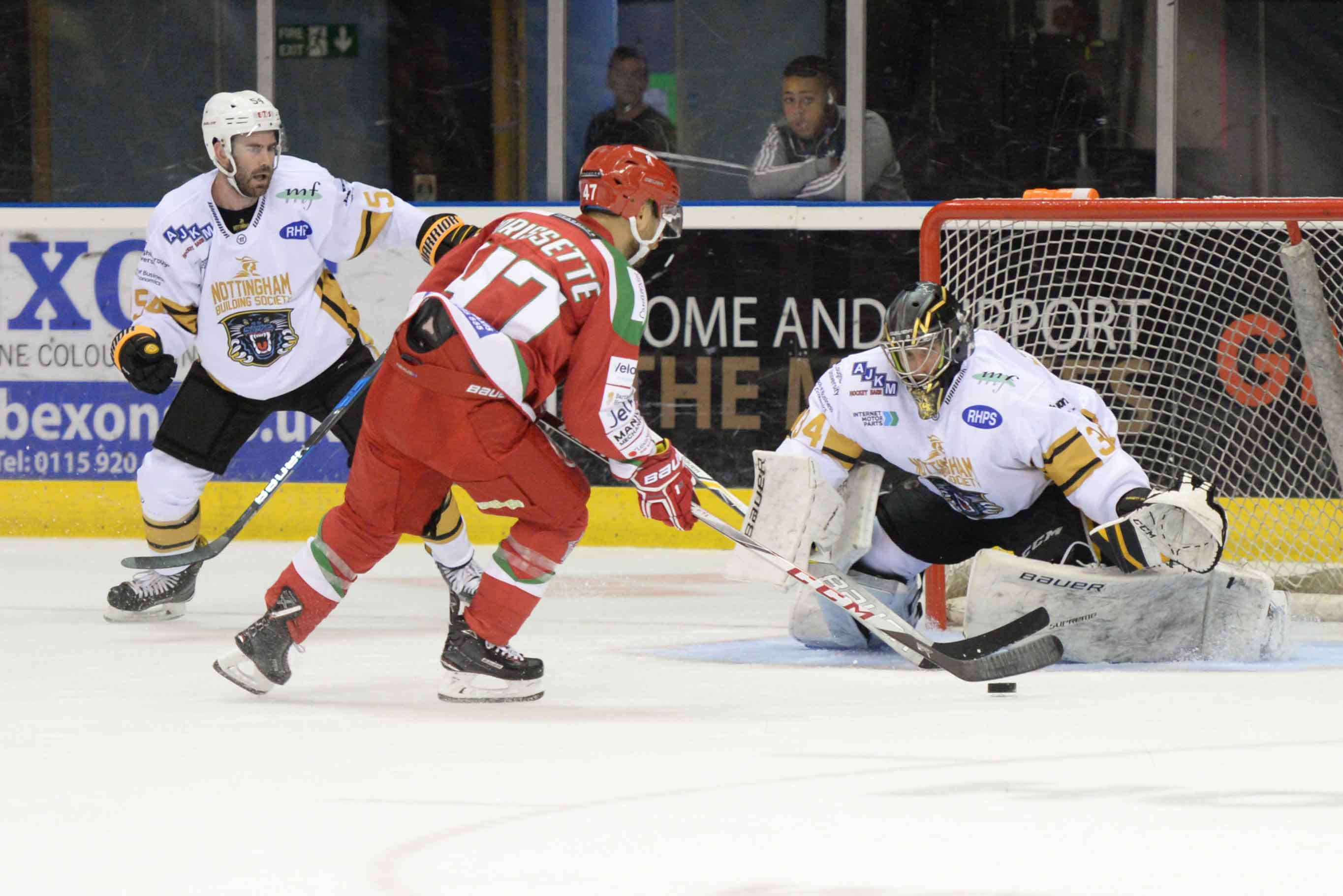 Panthers Home Saturday & Sunday Top Image