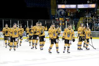 Flash Gold Jersey Sale