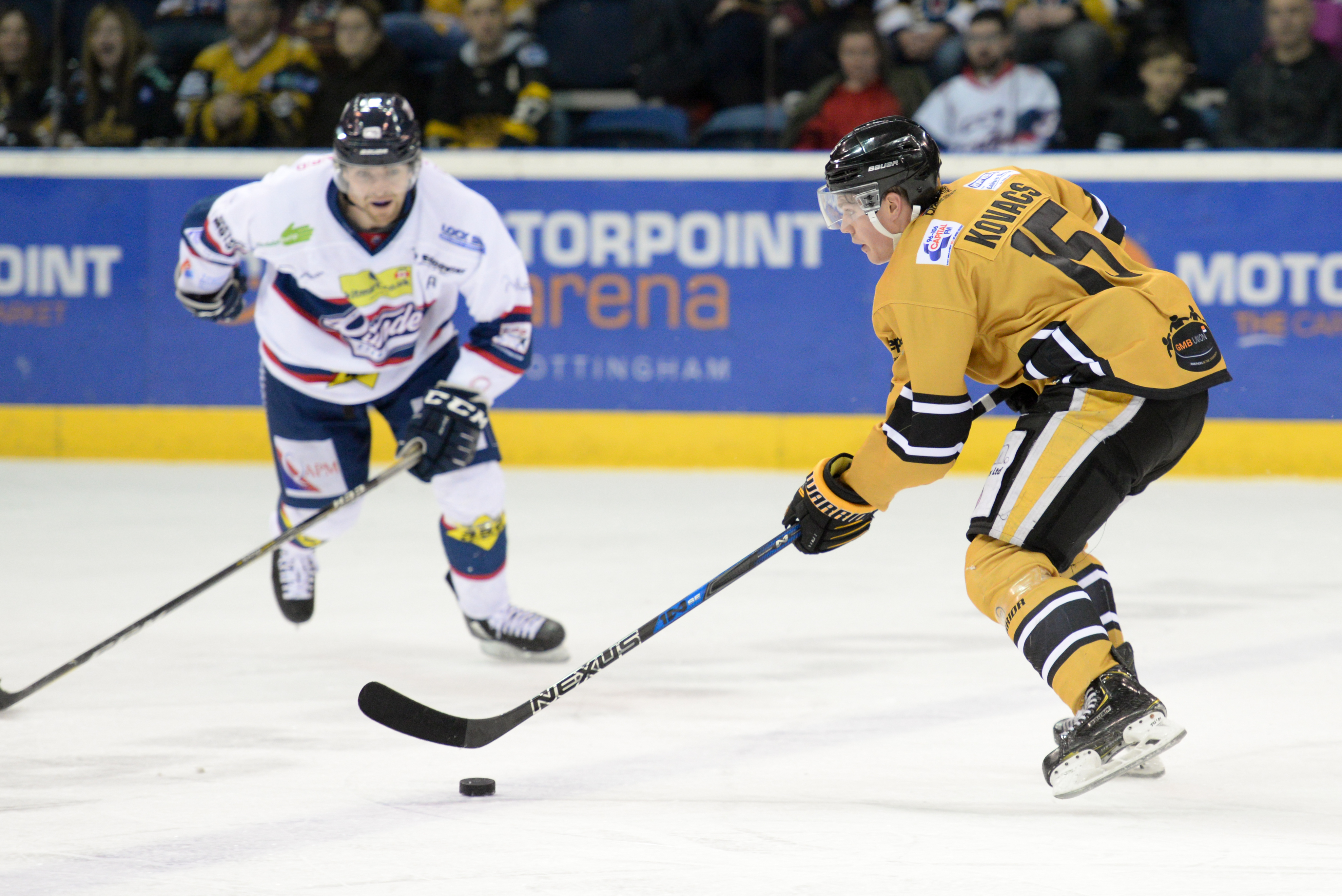 Highlights: Panthers vs Stars - 14/12/18 Top Image