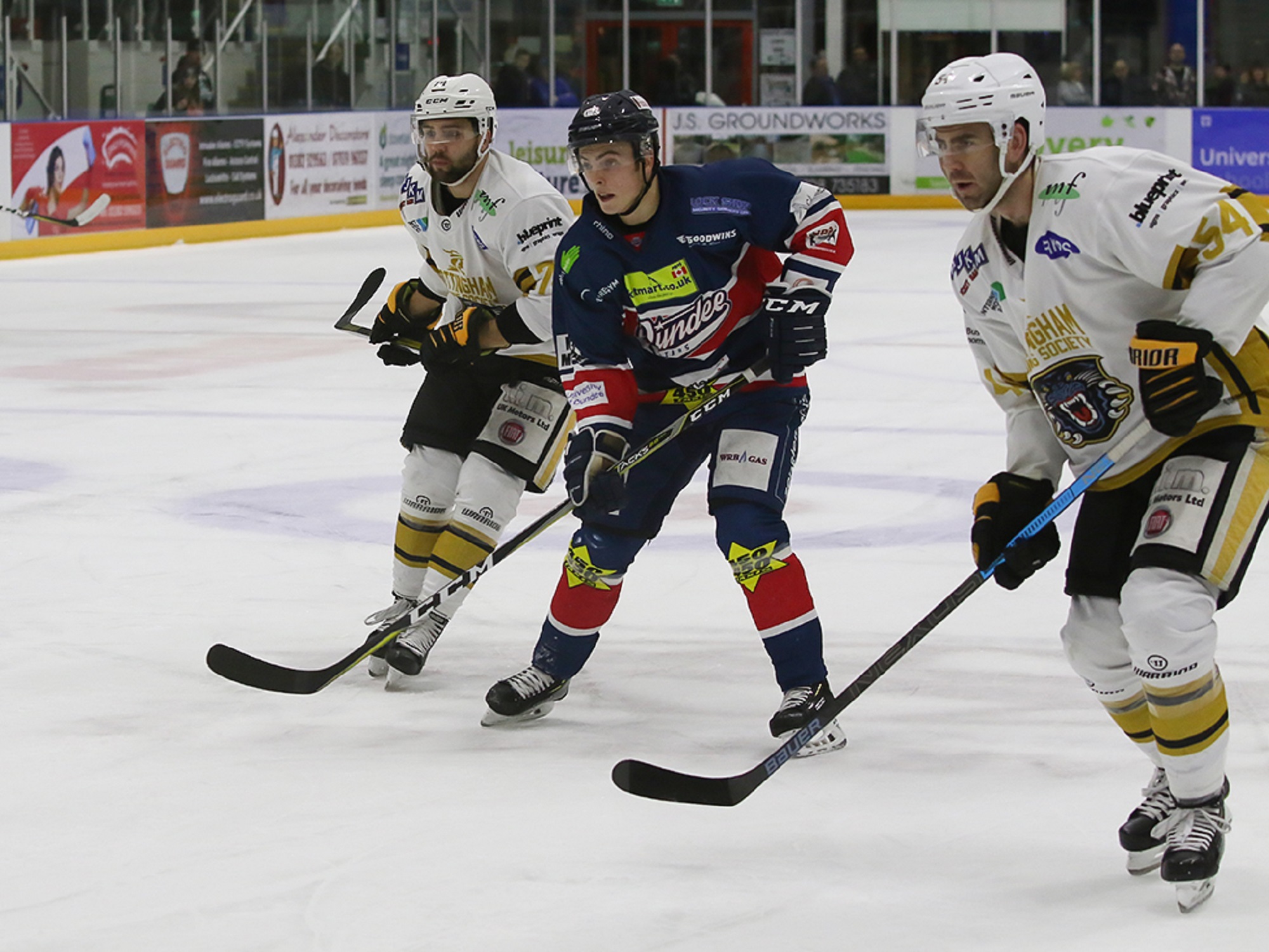 Panthers at Stars: Game Day! - 18/01/19 Top Image