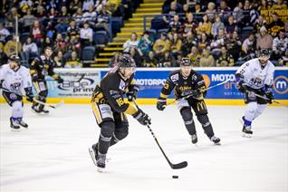 Panthers Seal 4 Point Weekend