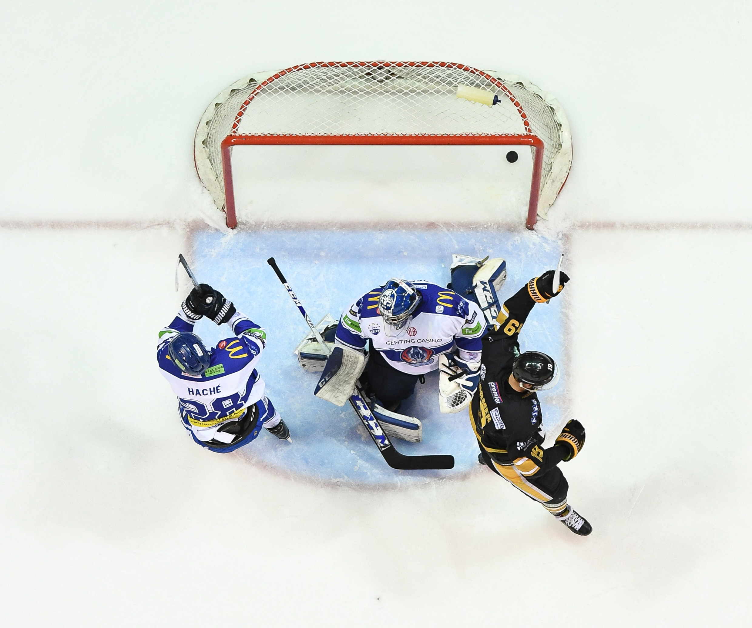 Panthers vs Blaze: Game day! - 31/12/18 Top Image