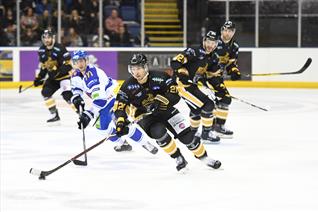 Panthers vs Blaze: New Year's Eve 2018