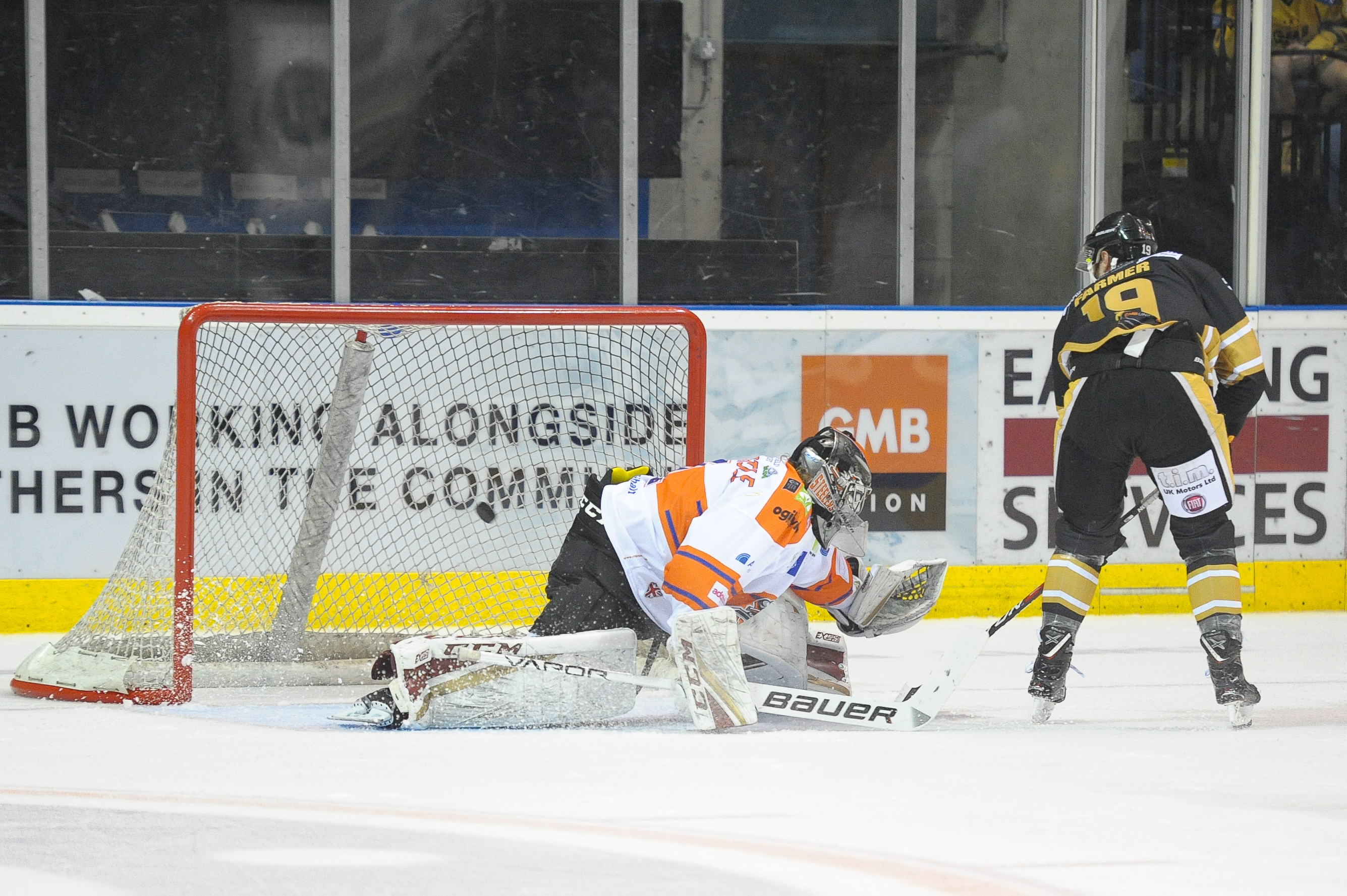 Panthers vs Steelers: Game day! - 16/02/19 Top Image
