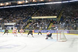Panthers vs Steelers: Sponsor Returns Snapped Up