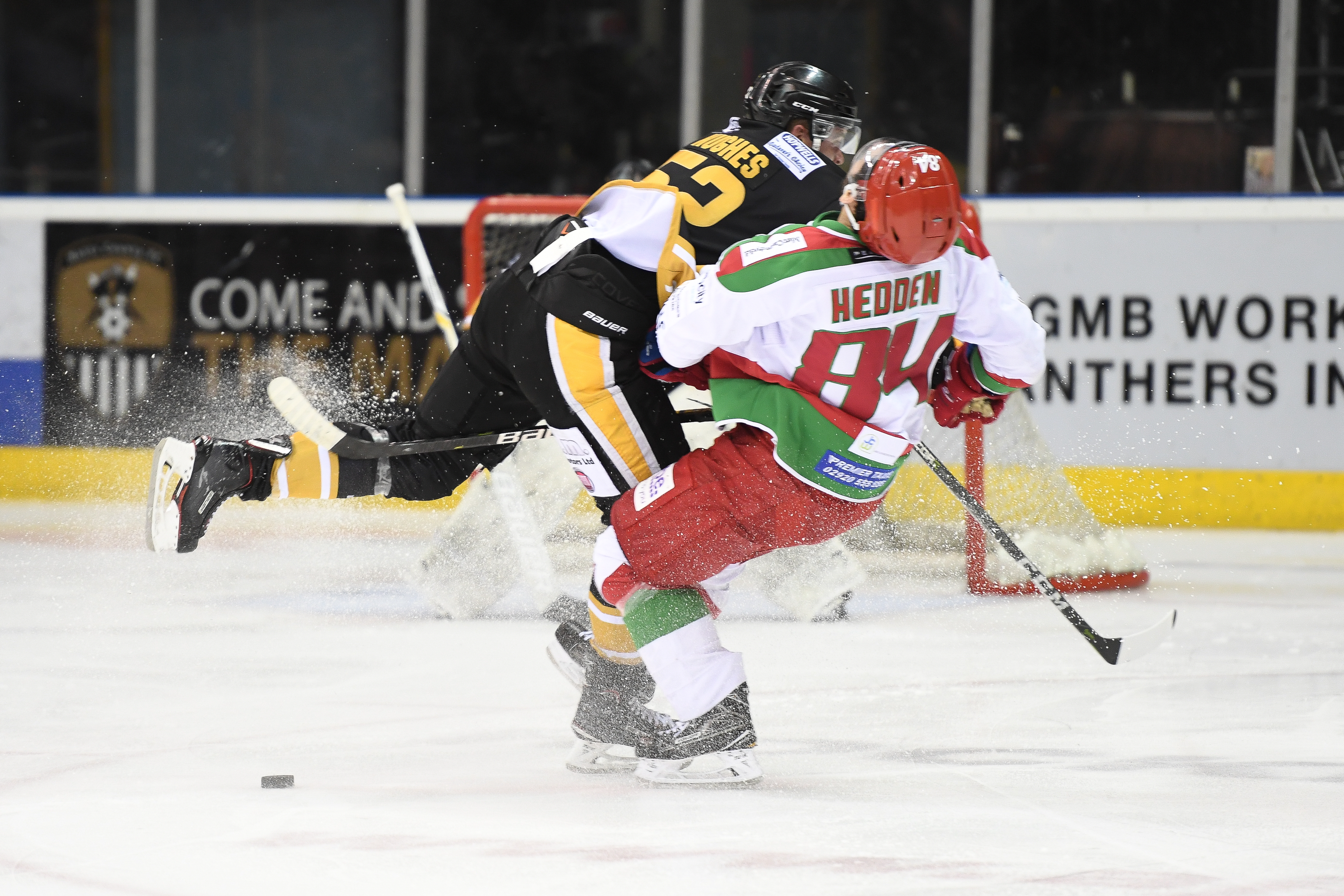 Panthers vs Devils: Less than two weeks away! - 26/01/19 Top Image