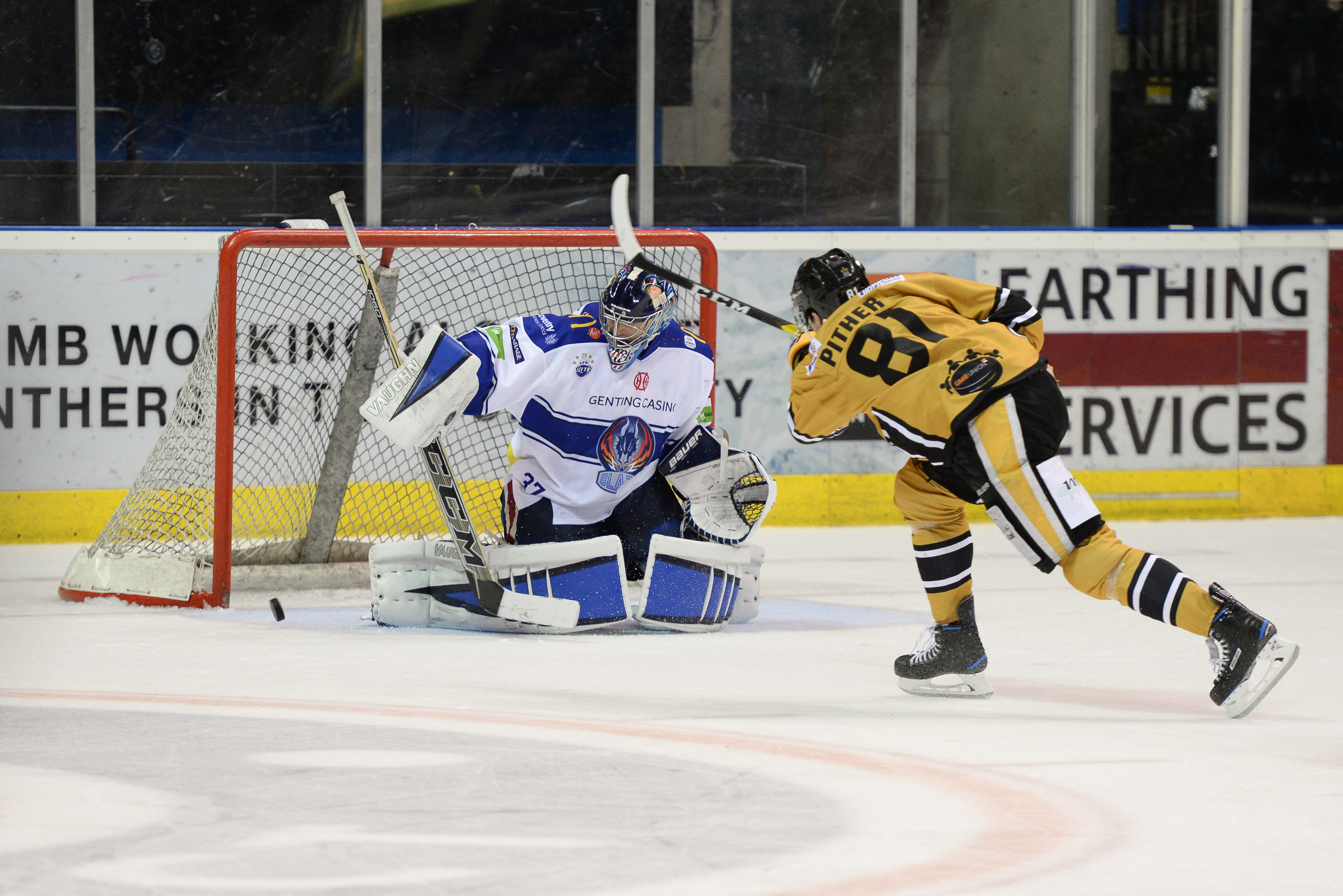 Highlights: Panthers vs Blaze - 20/02/19 Top Image