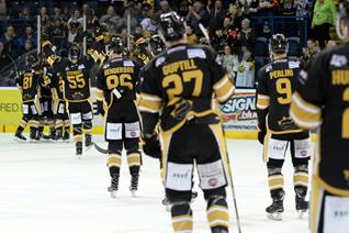 Final Panthers quiz Approaches