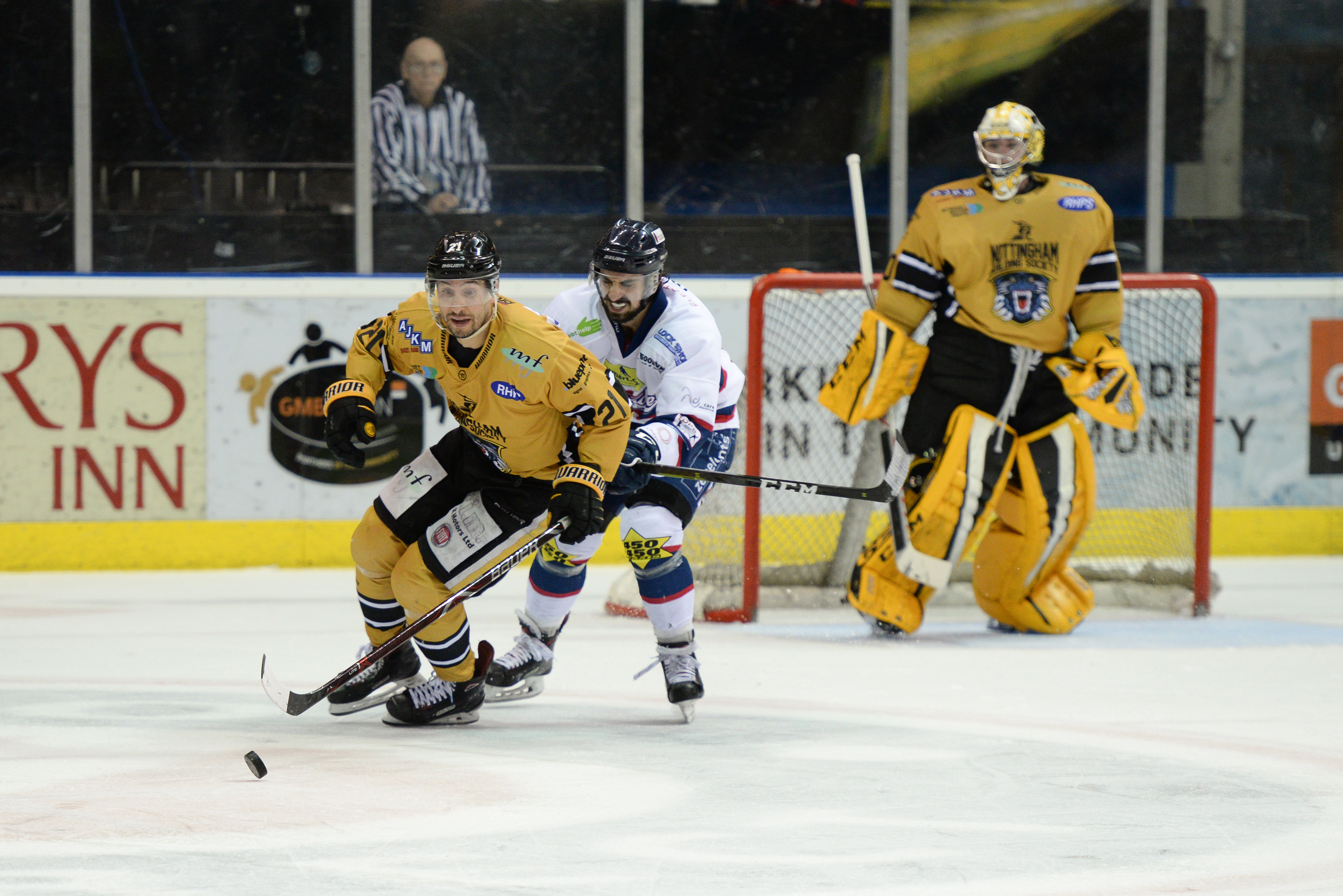 Highlights: Panthers vs Stars | 09/03/19 Top Image