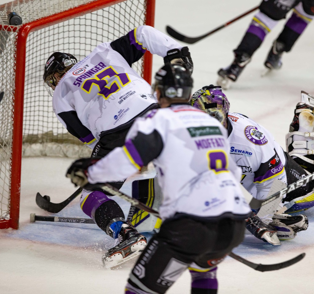 Panthers vs Stars: 4pm! | 17/03/19 Top Image