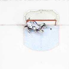 200202 Panthers v Flyers 01