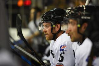 It's Gameday- Panthers v Pinguine at 7