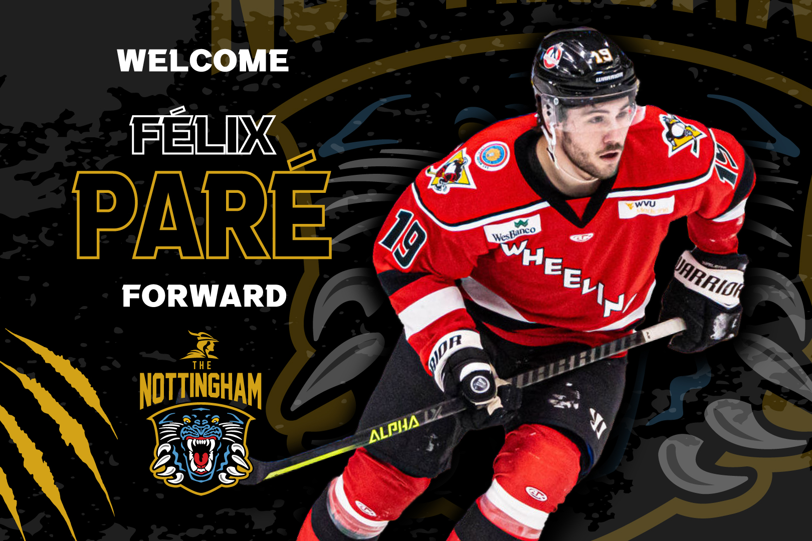 PANTHERS SIGN FORWARD FÉLIX PARÉ Top Image