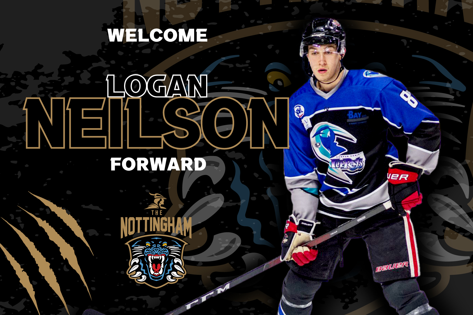 PANTHERS SIGN FORWARD LOGAN NEILSON