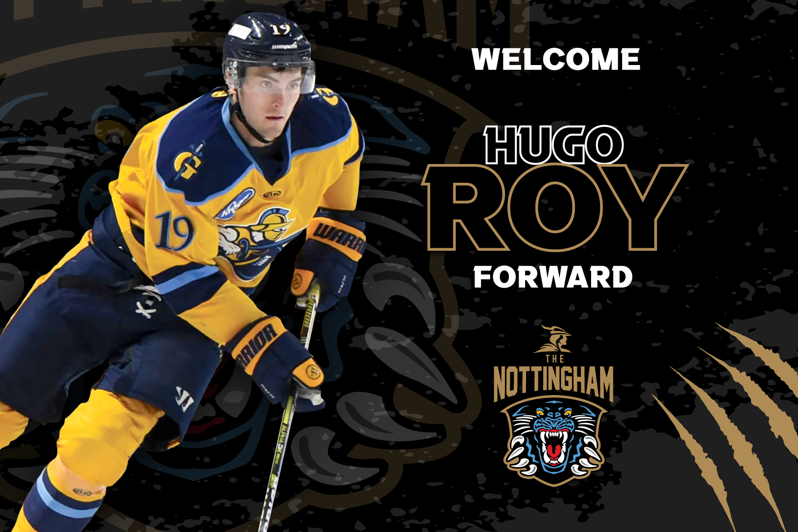 CANADIAN FORWARD ROY JOINS THE NOTTINGHAM PANTHERS Top Image