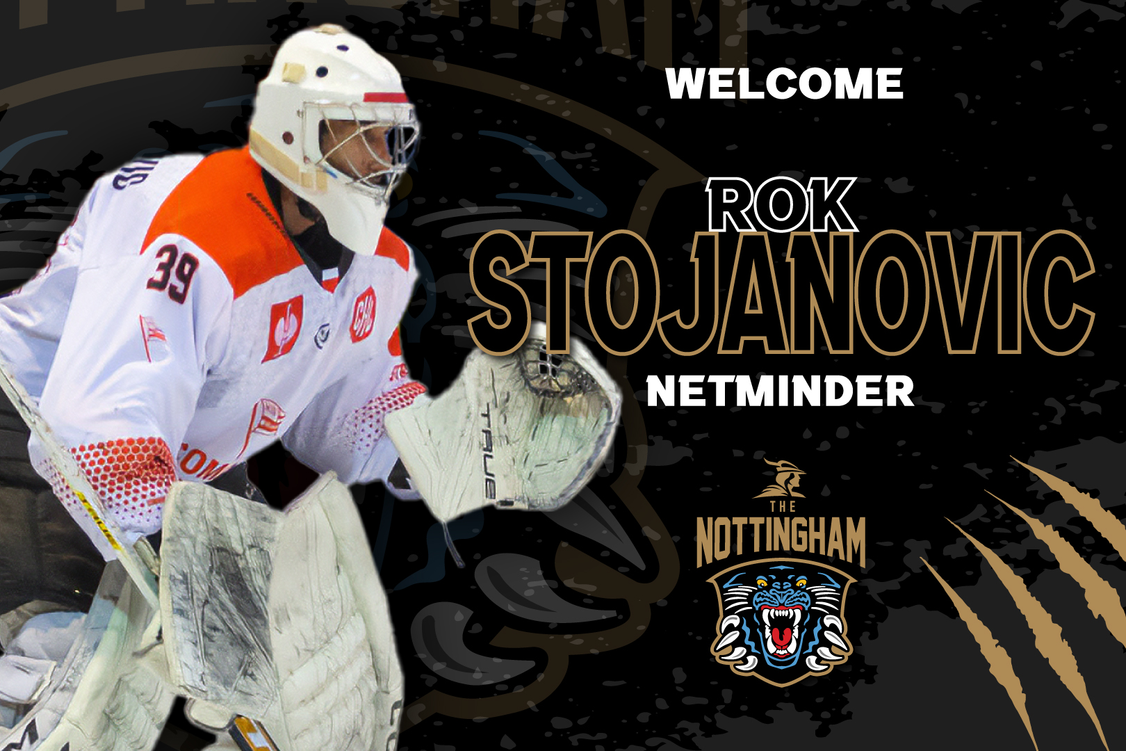 NETMINDER STOJANOVIC PENS DEAL WITH PANTHERS Top Image