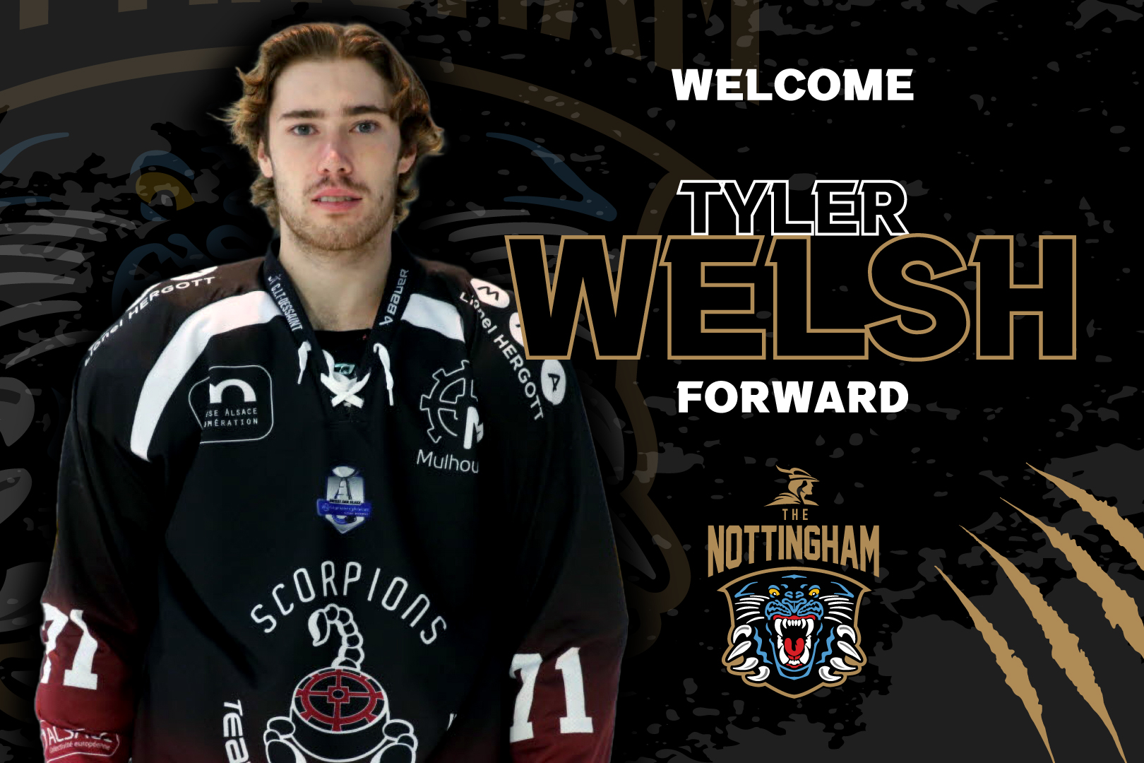 FORWARD TYLER WELSH SIGNS FOR PANTHERS Top Image