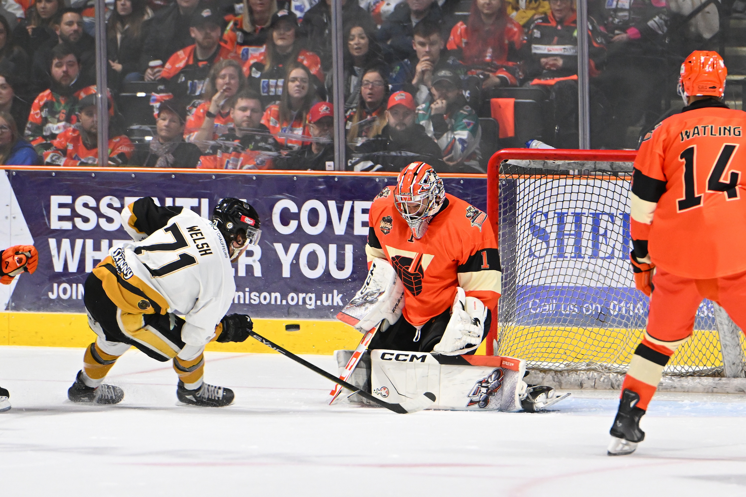 26TH DECEMBER 2023: STEELERS 5-1 PANTHERS Top Image