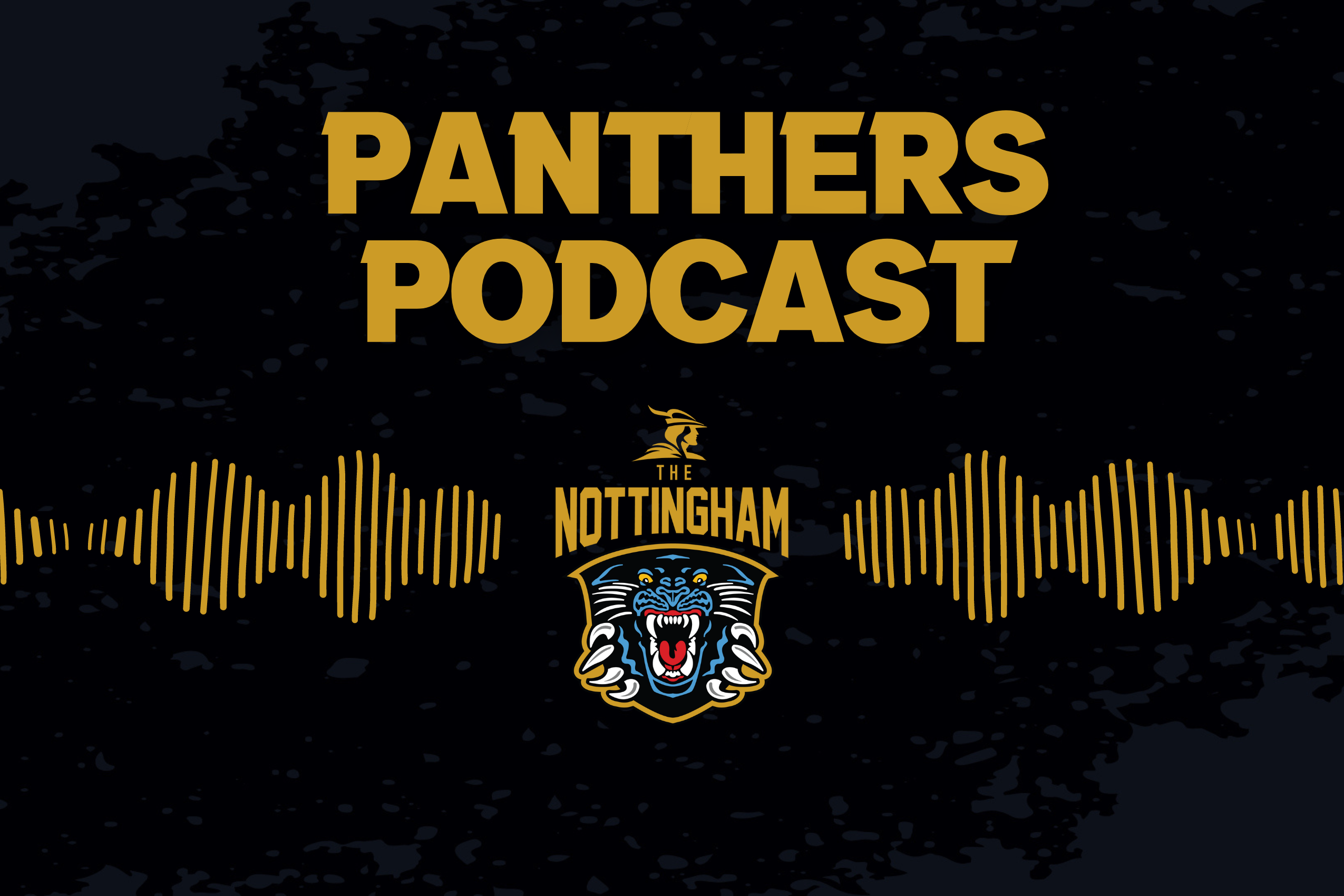 NIEMINEN AND PAREDES REFLECTIONS ON PANTHERS PODCAST Top Image