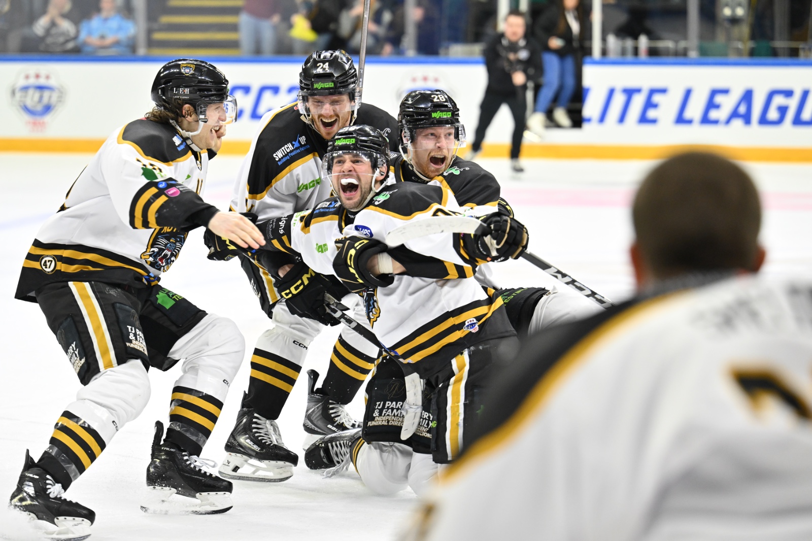 PANTHERS WIN 2026 CHALLENGE CUP FINAL Top Image