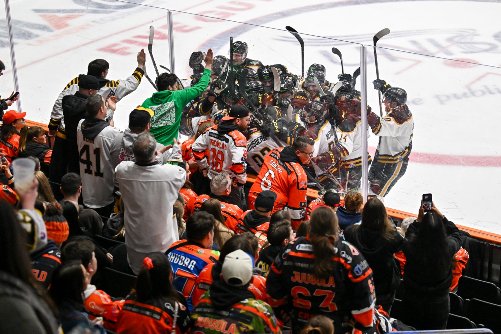 SECTION 3 - STEELERS PANTHERS