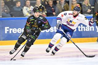 PANTHERS RELEASE FORWARD JOHNNY CURRAN