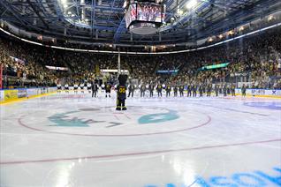 CONTINENTAL CUP: IMPORTANT SEASON TICKET HOLDER INFORMATION