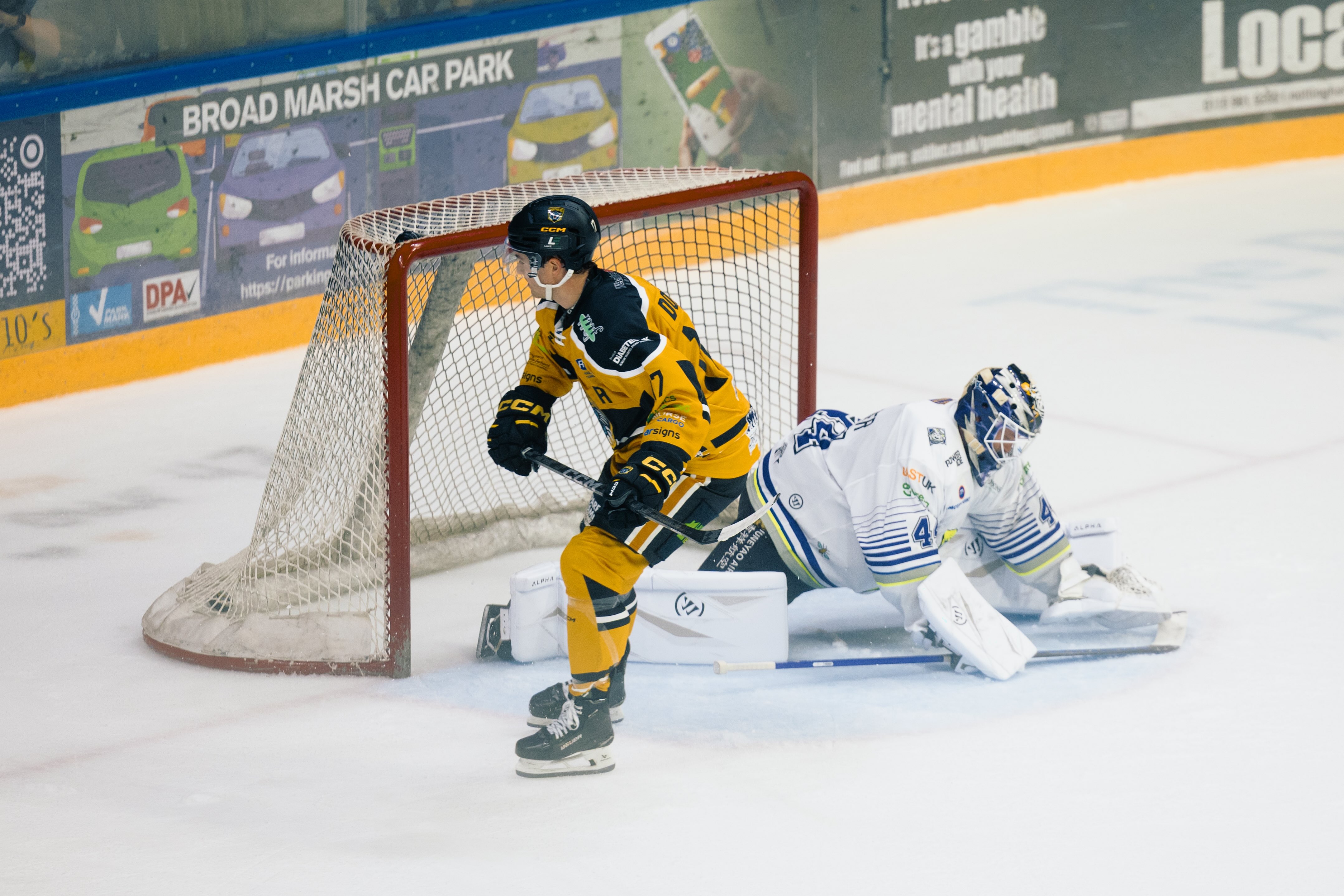 FLAMES NEXT AT THE MOTORPOINT ARENA Top Image