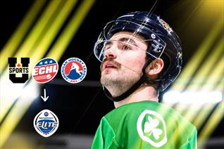 THE LOWDOWN ON FORWARD MAX GRONDIN