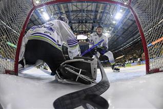 BLAZE AT HOME IN THE CUP ON SATURDAY