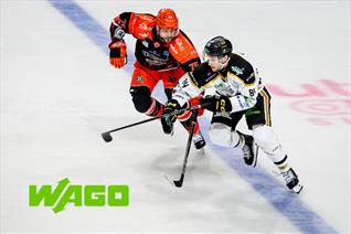 PREVIEW: LEAGUE ACTION IN SHEFFIELD TONIGHT