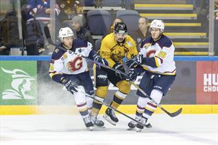 PANTHERS FACE FLAMES IN PLAYOFF QUARTER-FINALS