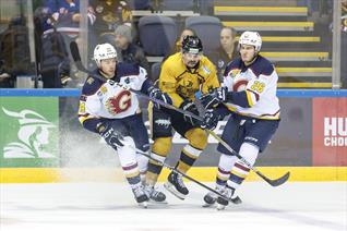BLAZE NEARLY A SELL-OUT WHILE OVER HALF THE BOWL SOLD FOR FLAMES