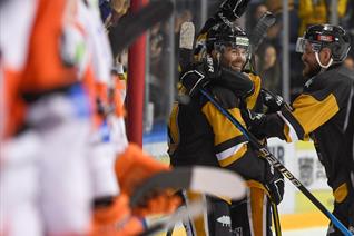 SEASON TICKET HOLDERS DISCOUNT FOR STEELERS CUP GAME